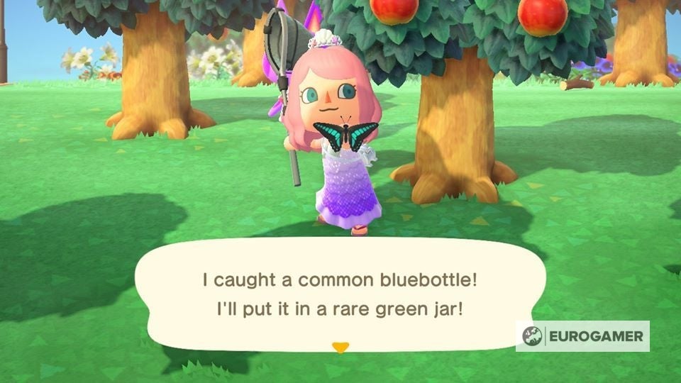 New Bugs, Fish and Sea Creatures in August Everything arriving and